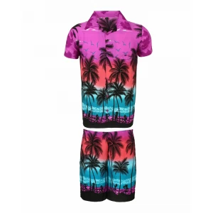Men's Stag Beach Aloha Party Summer Holiday Hawaiian Fancy Purple Palm Shirt And Short Set